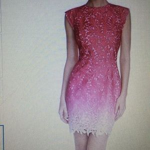 Nordstrom adelyn rae ombré lace sheath dress